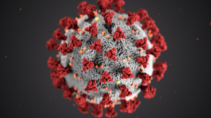 Es ist ein Symbolbild des Coronavirus abgebildet
