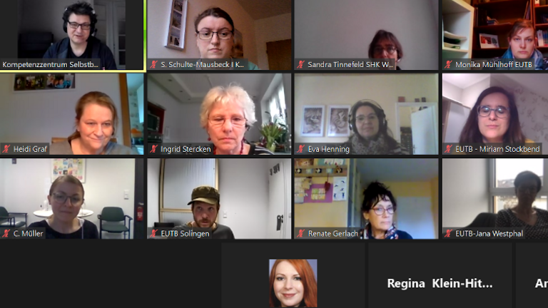 Teilnehmer*innen der Videokonferenz zum IPReG
