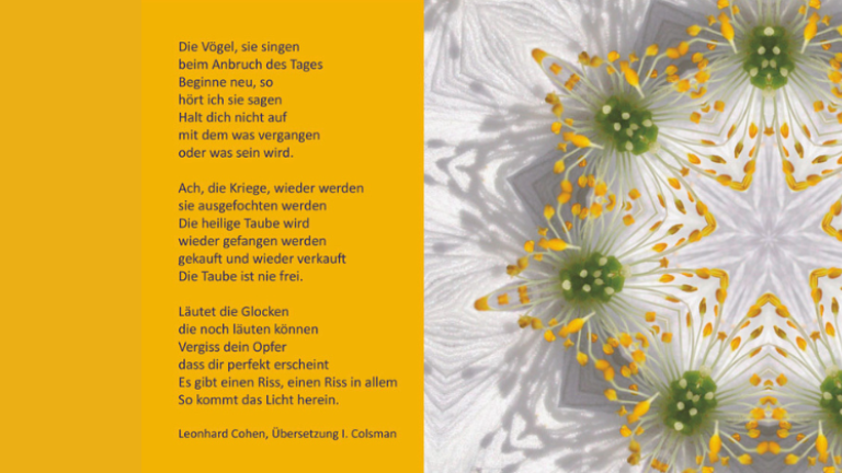 Die Vögel, sie singen beim Anbruch des Tages Beginne neu, so  hört ich sie sagen Halt dich nicht auf Mit dem was vergangen oder was sein wird.  Ach, die Kriege, wieder werden sie ausgefochten werden Die heilige Taube wird wieder gefangen werden gekauft und wieder verkauft Die Taube ist nie frei.  Läutet die Glocken die noch läuten können Vergiss dein Opfer dass dir perfekt erscheint Es gibt einen Riss, einen Riss in allem So kommt das Licht herein. (Leonard Cohen, Übersetzung I. Colsman)