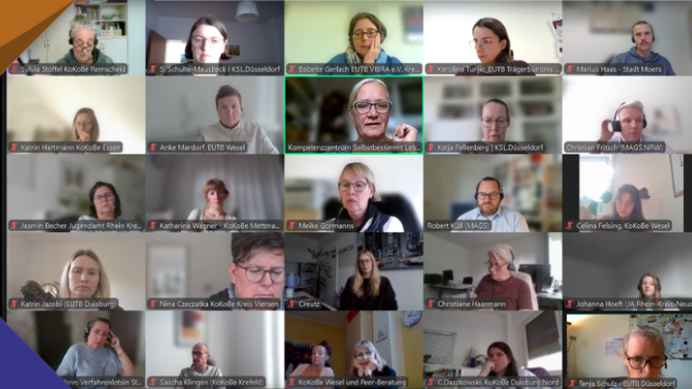 Teilnehmer*innen des Vernetzungstreffen per Videokonferenz